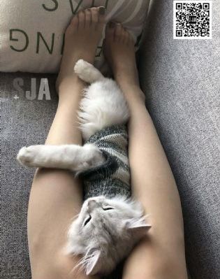 情迷意乱 电影