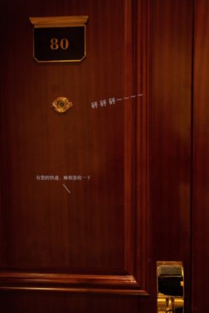 女士的法则 电视剧