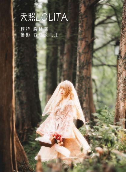 狐妖小红娘镜花缘篇